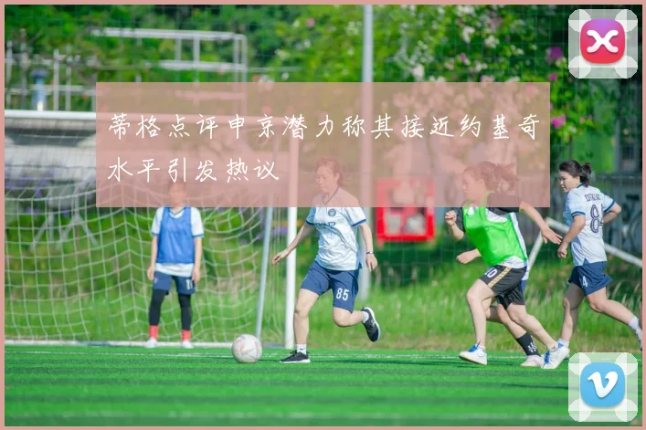 蒂格点评申京潜力称其接近约基奇水平引发热议