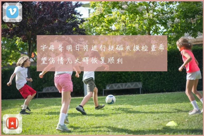 字母哥明日将进行核磁共振检查希望伤情无大碍恢复顺利