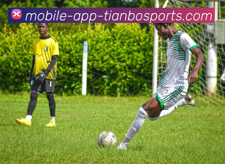 天博体育平台生态图